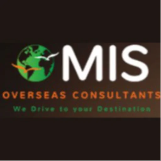 MIS Consultants